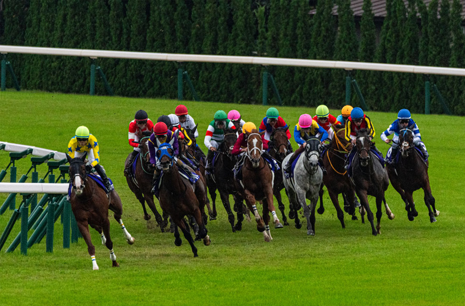 エリザベス女王杯 2023