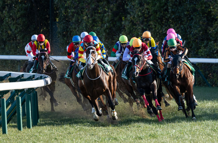 2025阪急杯 京都競馬場