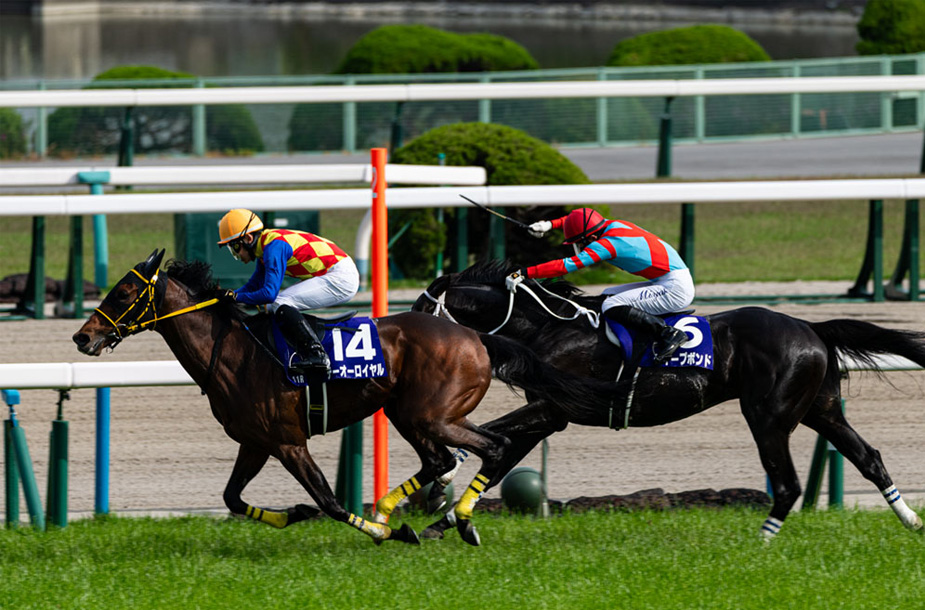 2024天皇賞 春