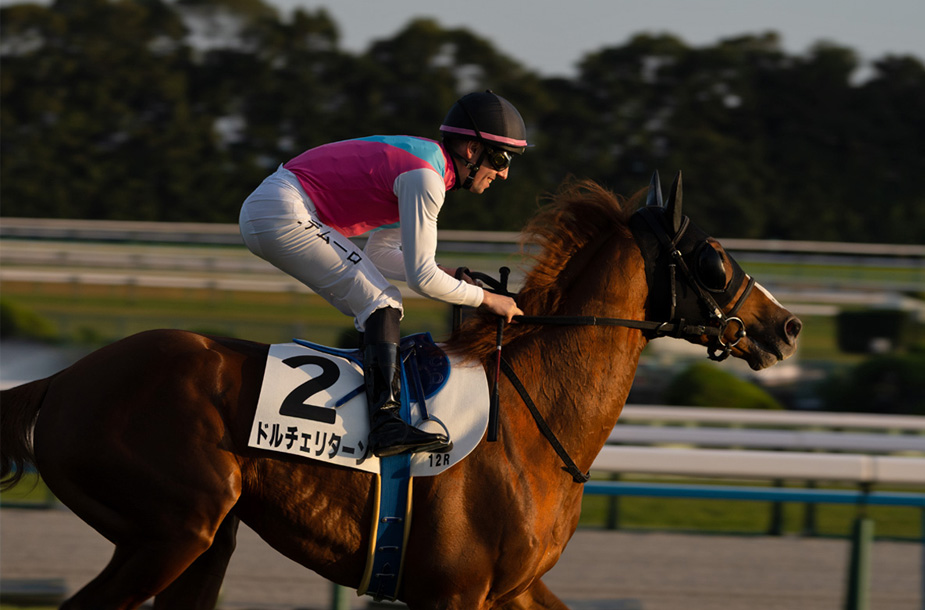 4回京都1日 京都競馬場